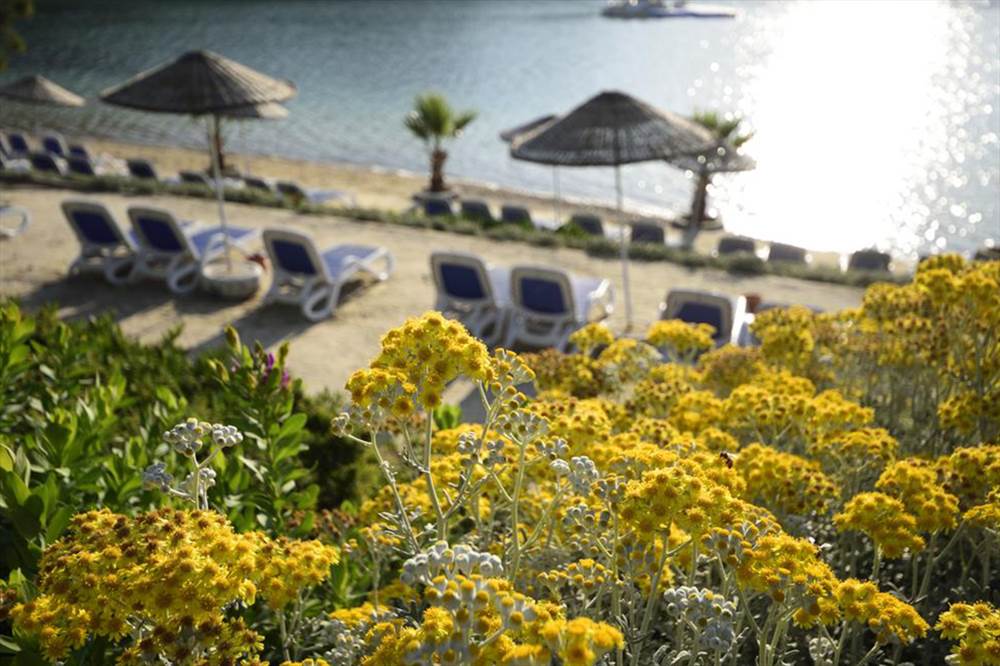 La Blanche Island HOTEL 5* - Bodrum