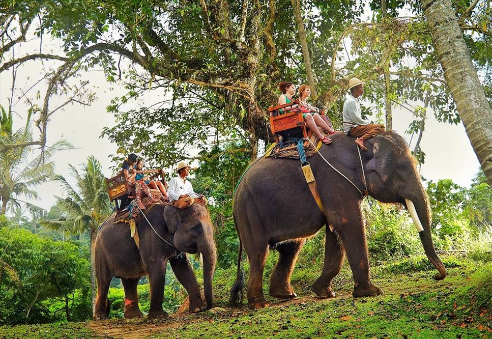 Ekzotik istirahət Şri-Lanka !!!