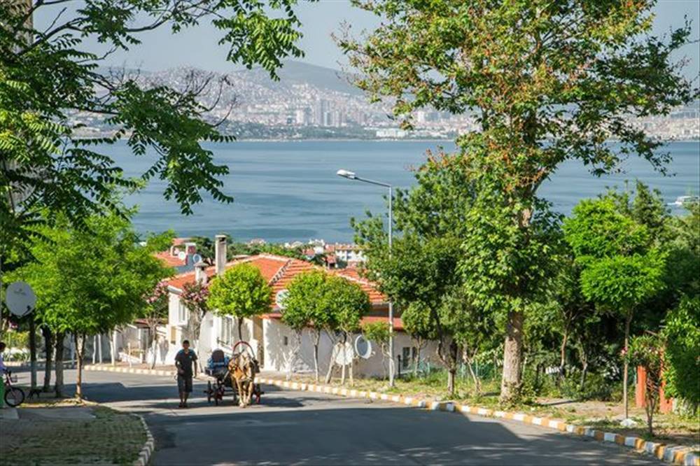 Istanbulda - Böyükada grup turları 4 gece 5 gun....