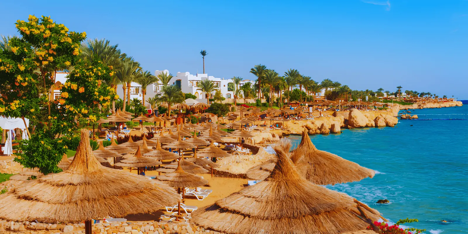 Sharm El Sheikh turu